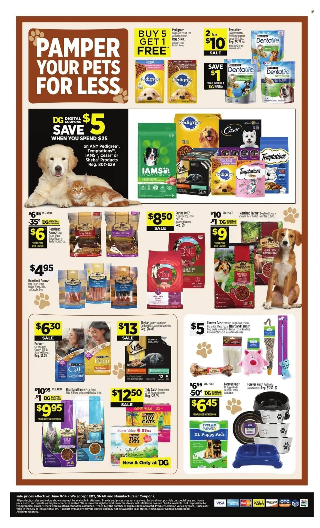 Dollar General-9
